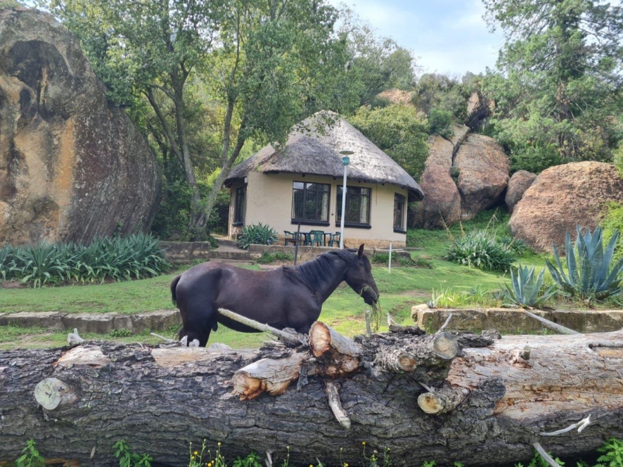 3 Bedroom Property for Sale in Ladybrand Free State